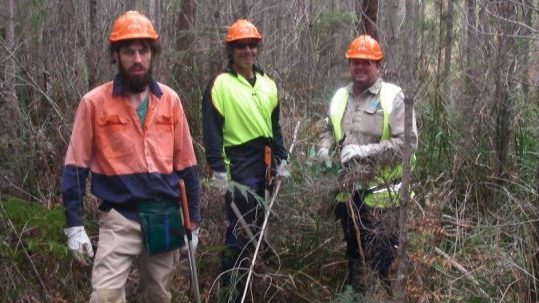 LAUNCHING OUR ECO-RESTORATION PROGRAM IN TASMANIA – 5TH JUNE WORLD ENVIRONMENT DAY